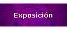 Exposicin