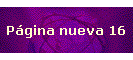 P�gina nueva 16