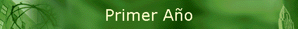 Primer A�o