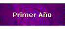 Primer A�o