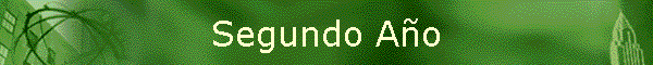 Segundo A�o