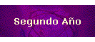 Segundo A�o