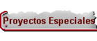 Proyectos Especiales